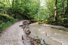 Bażantarnia zniszczona przez Srebrny Potok, ale Bażant się odbędzie