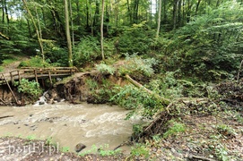 Bażantarnia zniszczona przez Srebrny Potok, ale Bażant się odbędzie