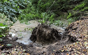 Bażantarnia zniszczona przez Srebrny Potok, ale Bażant się odbędzie