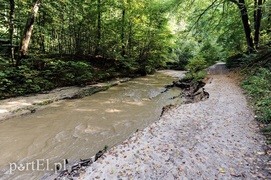 Bażantarnia zniszczona przez Srebrny Potok, ale Bażant się odbędzie