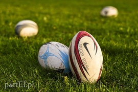 Jajo wraca do miasta