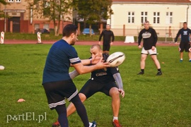 Jajo wraca do miasta