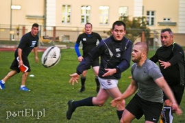 Jajo wraca do miasta