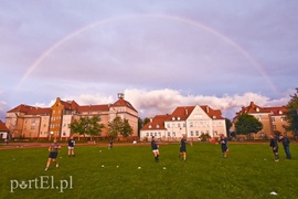 Jajo wraca do miasta