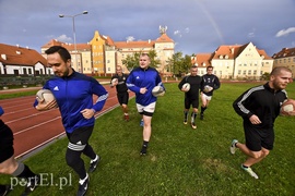Jajo wraca do miasta