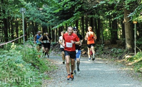 Gonili „Bażanta” po mistrzowsku