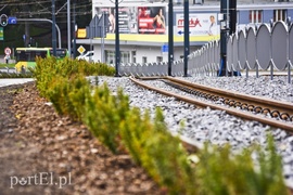 Tramwaje ruszyły po nowych torach