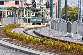 Tramwaje ruszyły po nowych torach
