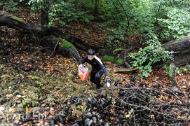 Orientuj się w lesie