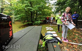 Orientuj się w lesie