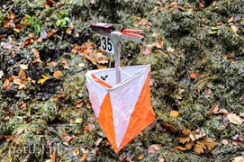 Orientuj się w lesie