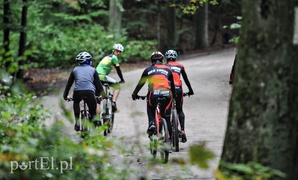 Orientuj się w lesie