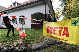 Orientuj się w lesie