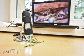 Maluchy odkrywają świat