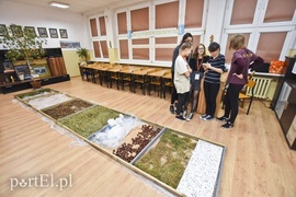 Maluchy odkrywają świat