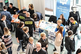 W poszukiwaniu pracy