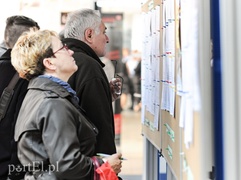 W poszukiwaniu pracy