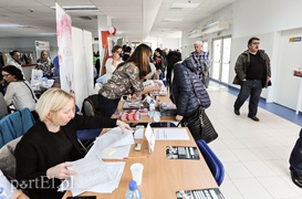 W poszukiwaniu pracy