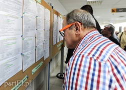 W poszukiwaniu pracy