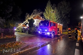 Drzewo przewróciło się na dom. Pracowita niedziela strażaków