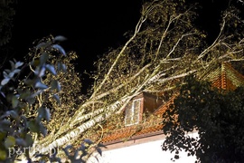 Drzewo przewróciło się na dom. Pracowita niedziela strażaków