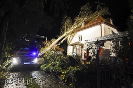 Drzewo przewróciło się na dom. Pracowita niedziela strażaków