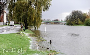 Rzeka Elbląg już nie straszy, trudna sytuacja na jeziorze Druzno  (aktualizacja) 