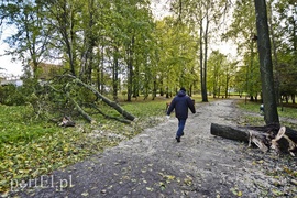 Połamane drzewa w parku Kajki