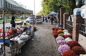 Nasi święci i nieświęci