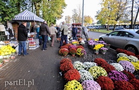 Nasi święci i nieświęci