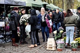 Nasi święci i nieświęci