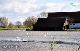 Kolejny wał przecieka