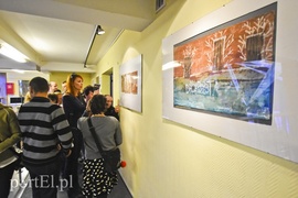 Twórcza terapia w Światowidzie