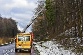 Skarpa z drzewami osunęła się na drogę