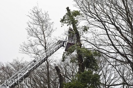 Skarpa z drzewami osunęła się na drogę