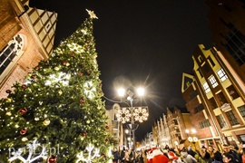 Błysnęła światłem panna zielona