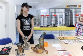 Święto kotów i kociarzy