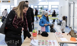 Święto kotów i kociarzy
