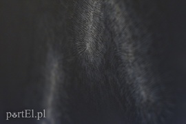 Galeria naznaczona BliSnami