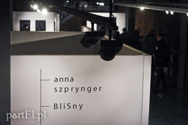 Galeria naznaczona BliSnami