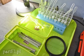 Fito na cito w porcie