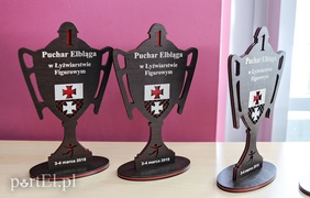 Pucharowa jazda figurowa