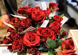 Piękne róże dla pięknych pań!