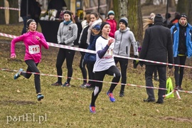 Biegiem po parku Modrzewie