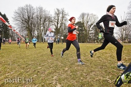 Biegiem po parku Modrzewie