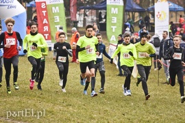 Biegiem po parku Modrzewie