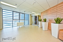 Sąd (prawie) najwyższy