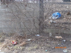 Sadowa jak wysypisko śmieci  (list Czytelniczki) 