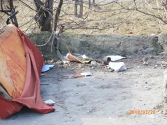 Sadowa jak wysypisko śmieci  (list Czytelniczki) 