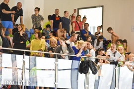 Motylem przez Dolinkę Motylem przez Dolinkę